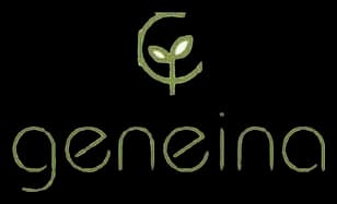 Geneina