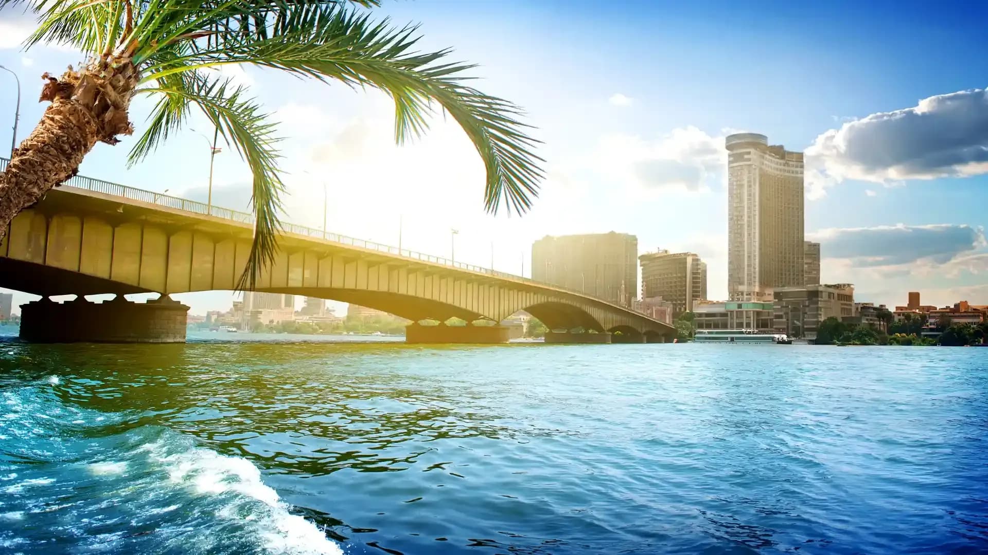 A bridge over the Nile in Cairo framed by a palm tree